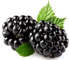 Fresh Jamun (Indian Blackberry)