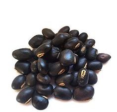 Pure Black Kaunch Seeds