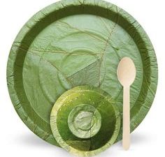 Eco-Friendly Sal Leaf Plates