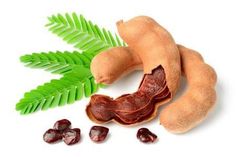 Fresh Tamarind (Imli)