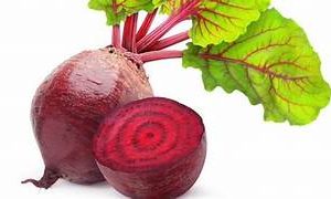 Fresh Beetroot - Nutritious and Vibrant Root Vegetable