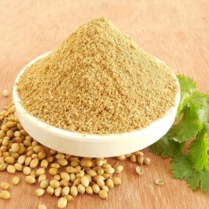 Fresh Coriander Powder