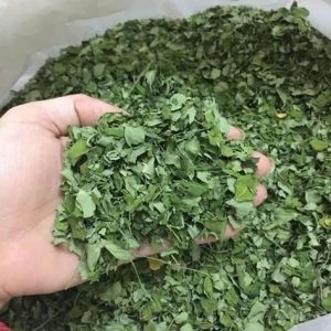 Organic Moringa Leaves Dreid