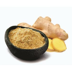 Ginger Powder - Premium Quality