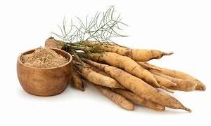 Satavari (Asparagus Racemosus)