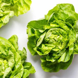 Crisp Fresh Lettuce