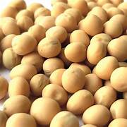 Yellow Peas - Nutritious and Versatile Legume